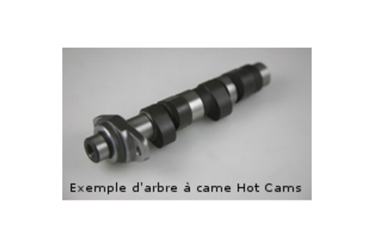 Arbre à cames HOT CAMS - Niveau 2 Polaris