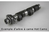 Arbre à cames HOT CAMS - Niveau 2 Polaris