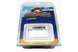 Kit de reconditionnement de carburateur ALL BALLS