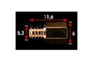 GICLEUR MIKUNI MKA100