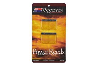 Clapets BOYESEN Power Reeds - 616