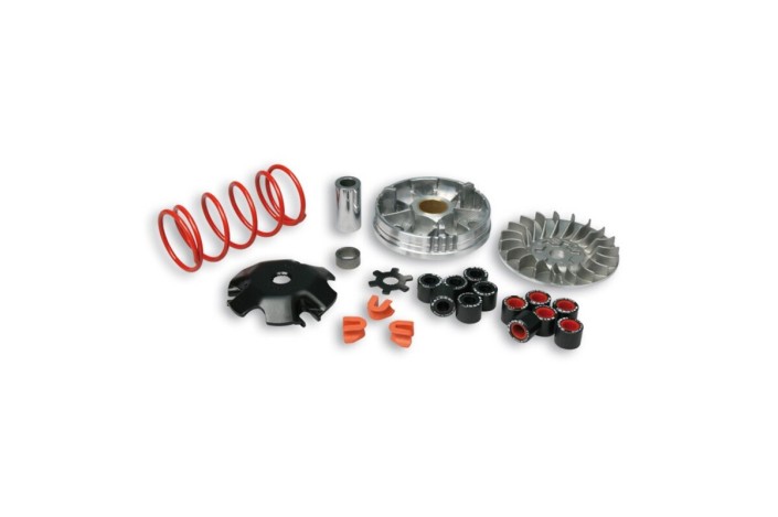 Variateur MALOSSI Multivar - Yamaha-MINARELLI