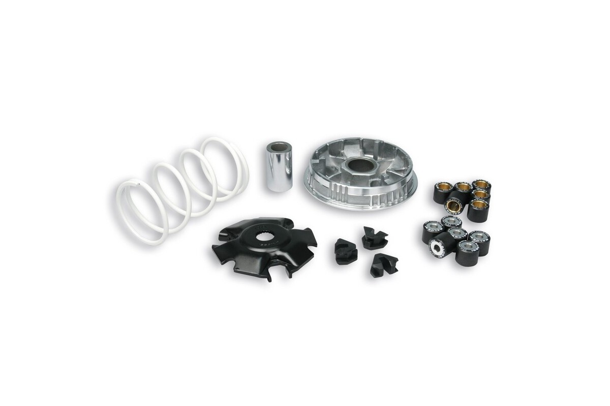 Variateur MALOSSI Multivar 2000