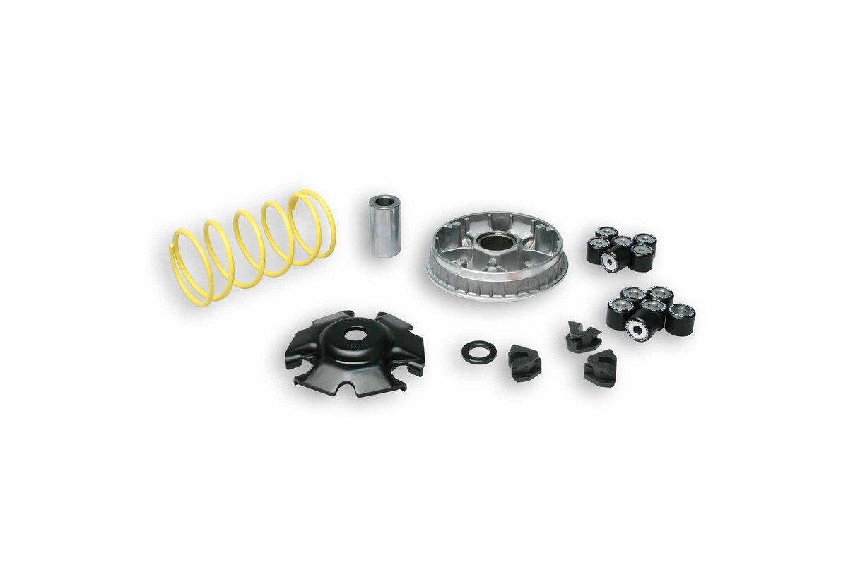 Variateur MALOSSI Multivar 2000 (moteur GY6)