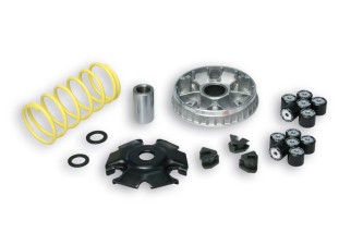 Variateur MALOSSI Multivar 2000