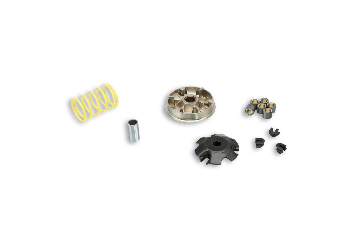 Variateur MALOSSI Multivar 2000