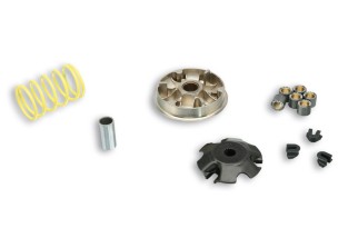 Variateur MALOSSI Multivar 2000