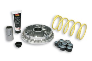 Variateur MALOSSI Multivar 2000