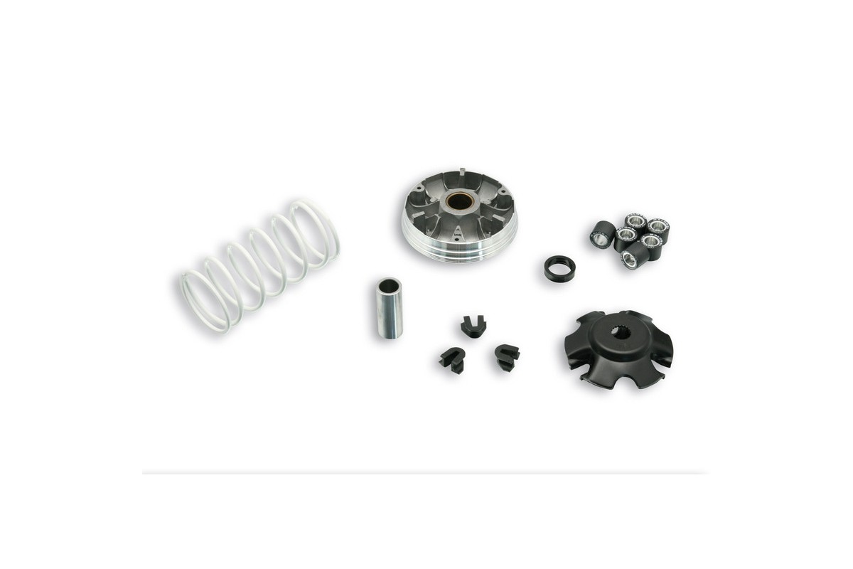 Variateur MALOSSI Multivar 2000