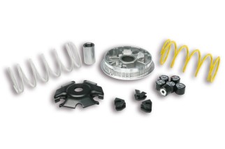 Variateur MALOSSI Multivar 2000