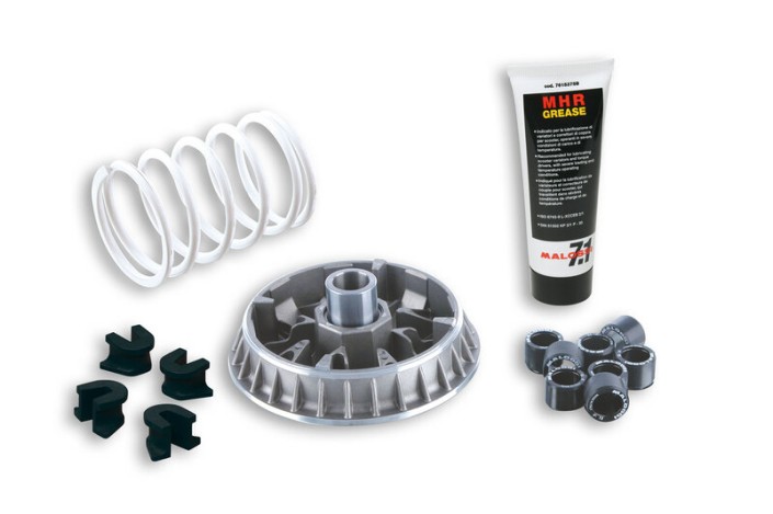 Variateur MALOSSI Multivar 2000