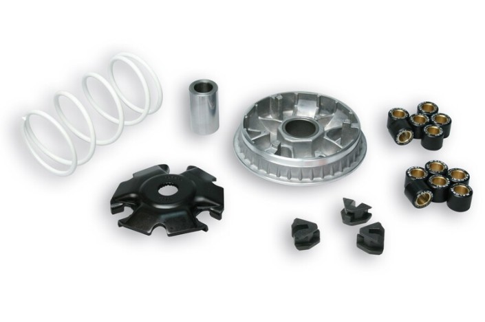 Variateur MALOSSI Multivar 2000