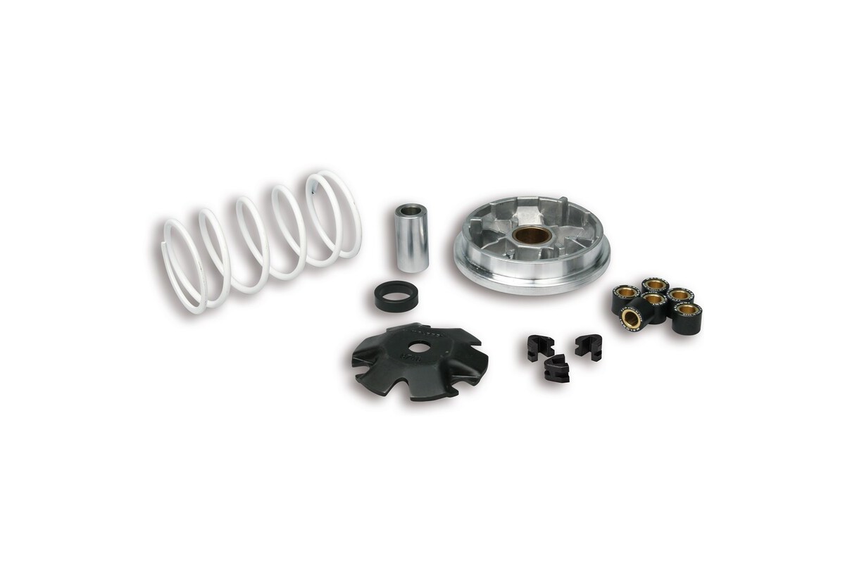 Variateur MALOSSI Multivar 2000 - Peugeot