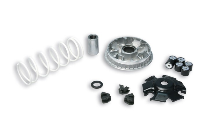 Variateur MALOSSI Multivar 2000