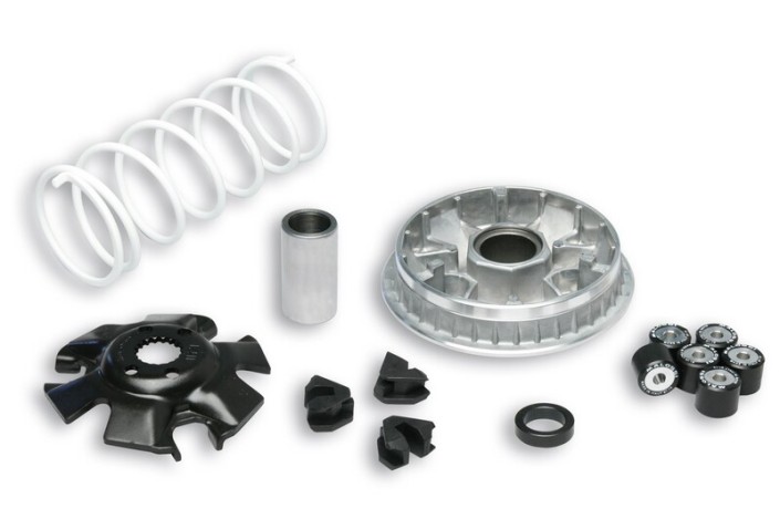 Variateur MALOSSI Multivar 2000 - Suzuki