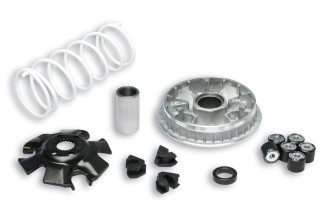 Variateur MALOSSI Multivar 2000 - Suzuki