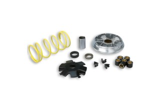 Variateur MALOSSI Multivar