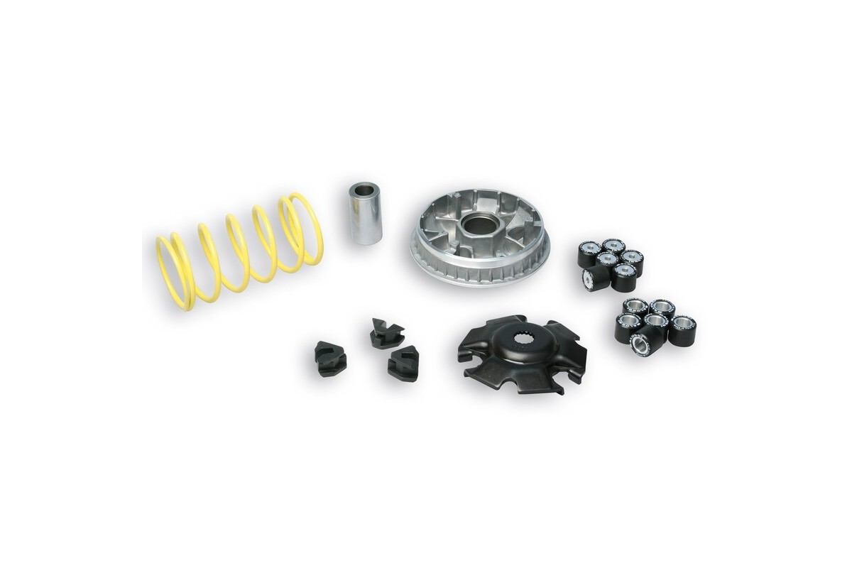 Variateur MALOSSI Multivar 2000