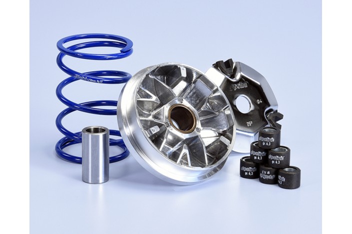 Variateur POLINI Hi-Speed