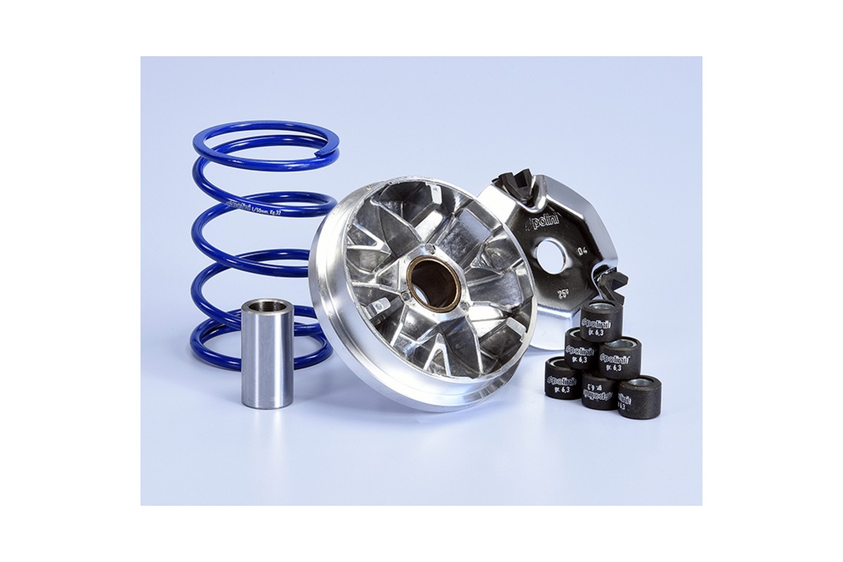 Variateur POLINI Hi-Speed