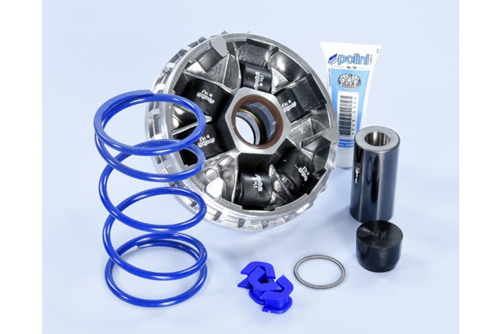 Variateur POLINI Hi-Speed