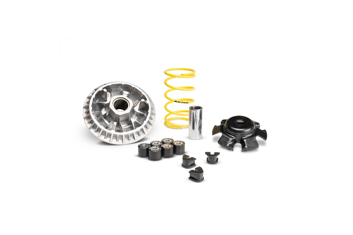 Variateur MALOSSI Multivar 2000