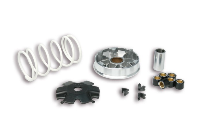 Variateur MALOSSI Multivar