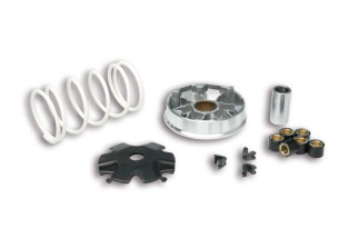 Variateur MALOSSI Multivar