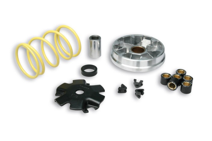 Variateur MALOSSI Multivar