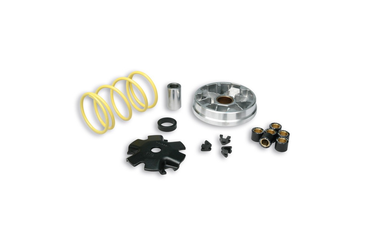 Variateur MALOSSI Multivar