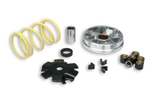 Variateur MALOSSI Multivar