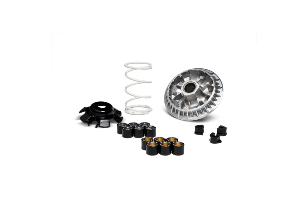 Variateur MALOSSI Multivar 2000