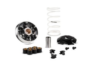 Variateur MALOSSI Multivar 2000