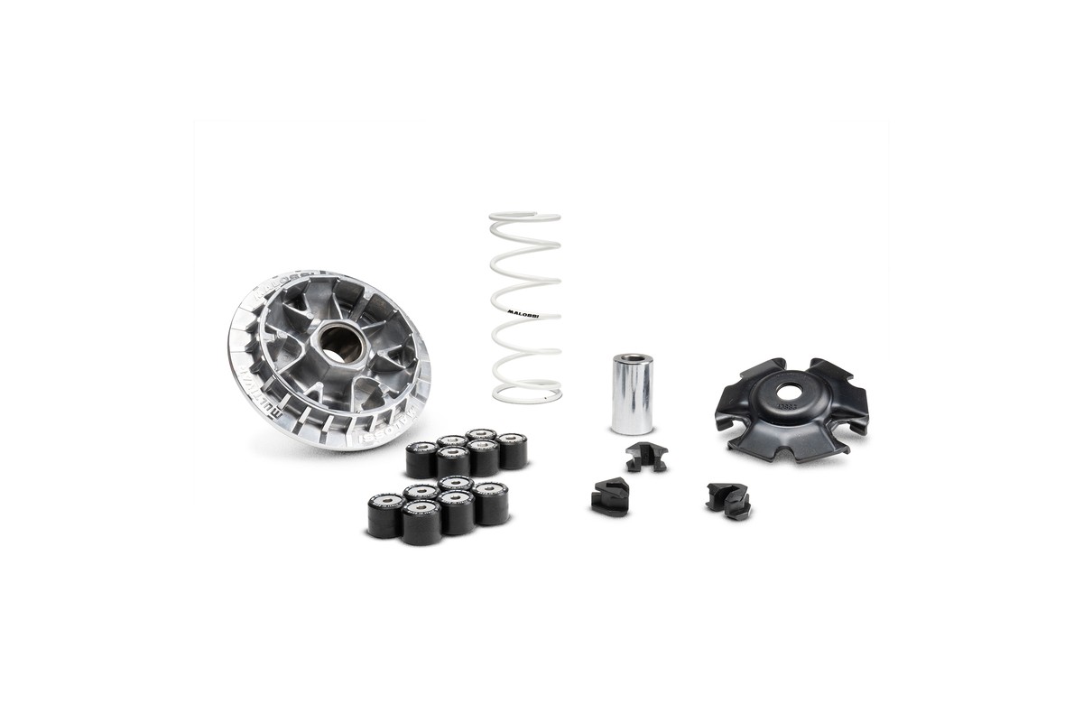 Variateur MALOSSI Multivar 2000