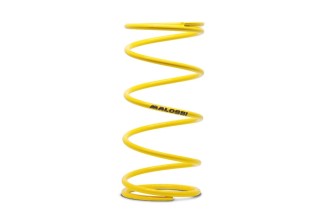 Ressort de poussée super-renforcé MALOSSI MBK Booster/Ovetto/Nitro