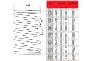 Ressort de poussée super-renforcé MALOSSI MBK Booster/Ovetto/Nitro