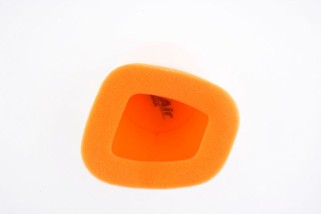 Filtre à air TWIN AIR - 152107