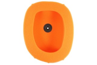 Filtre à air TWIN AIR - 150224