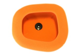 Filtre à air TWIN AIR - 151124