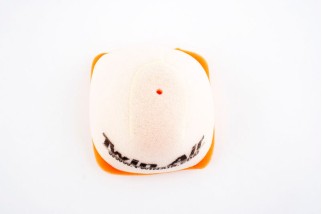 Filtre à air TWIN AIR - 152419