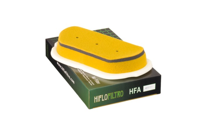 Filtre à air HIFLOFILTRO - HFA4610