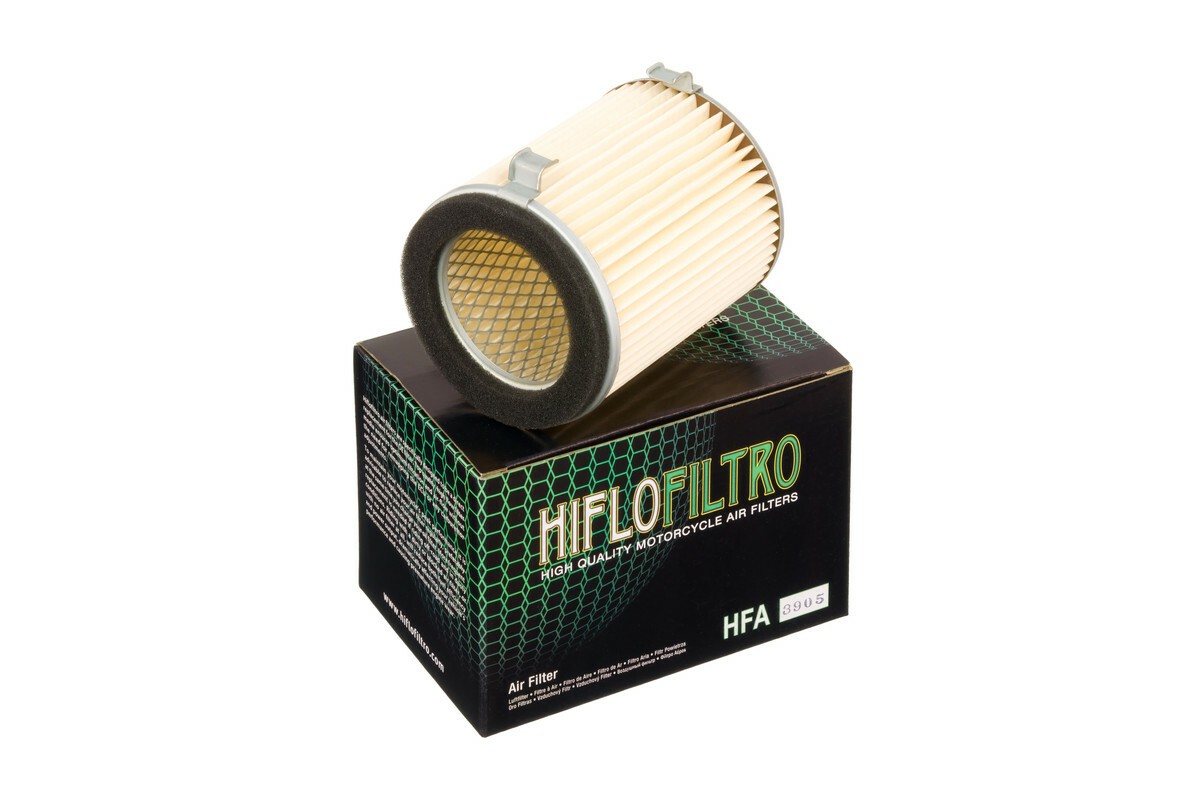 Filtre à air HIFLOFILTRO - HFA3905