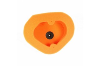 Filtre à air TWIN AIR - 151120