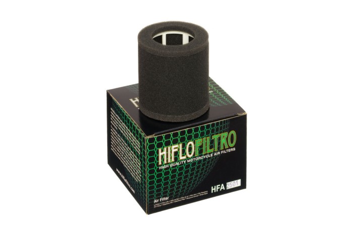 Filtre à air HIFLOFILTRO - HFA2501