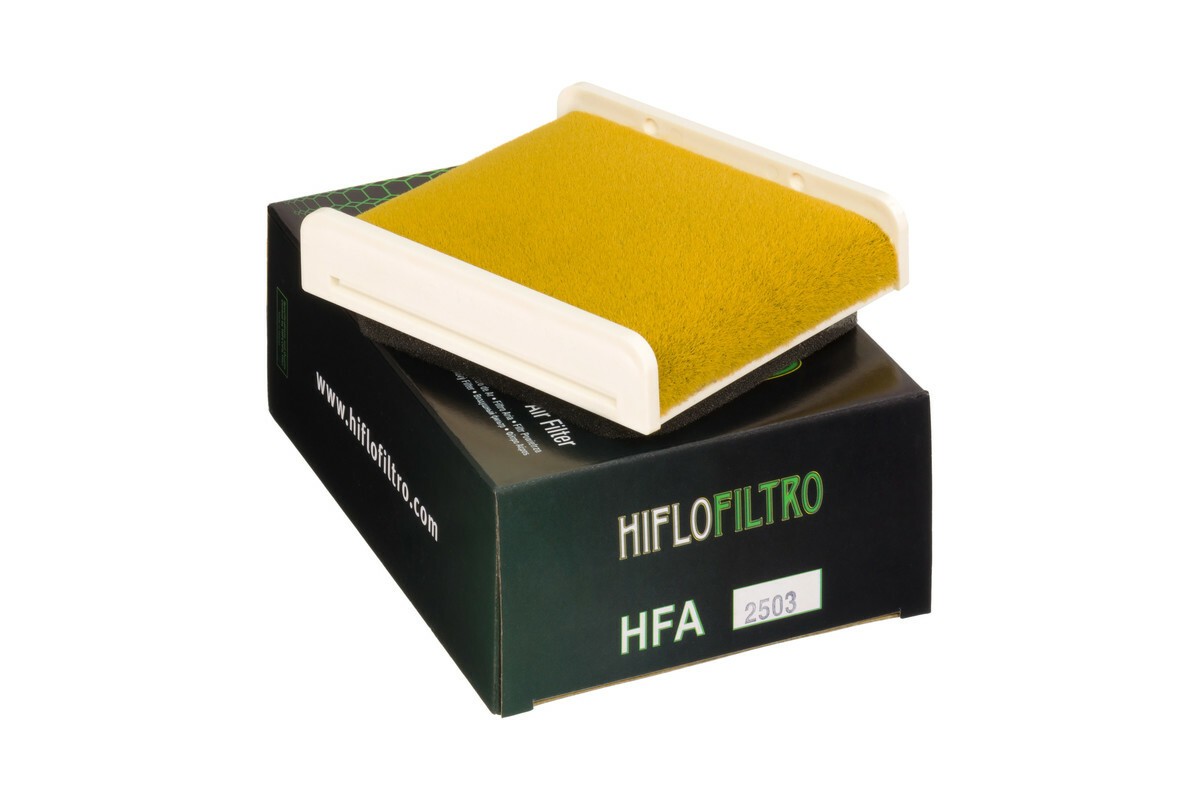 Filtre à air HIFLOFILTRO - HFA2503