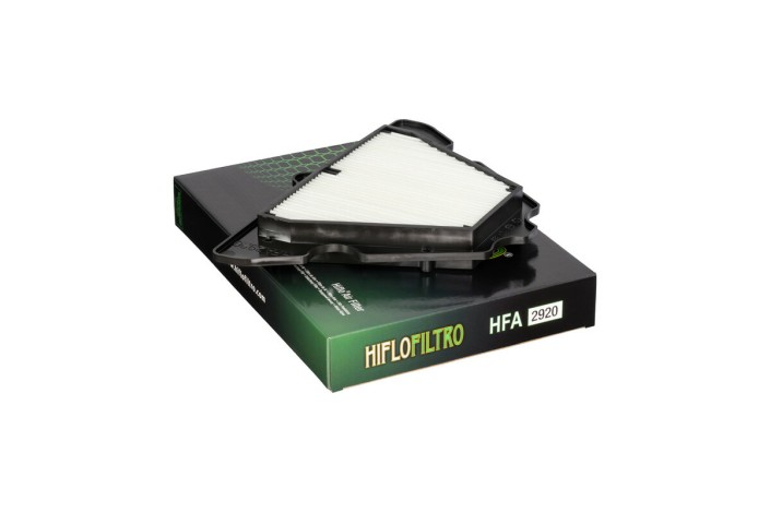 Filtre à air HIFLOFILTRO - HFA2920