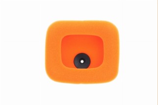 Filtre à air TWIN AIR - 158423