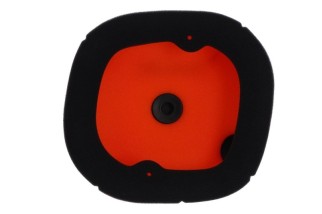 Filtre à air TWIN AIR - 158383