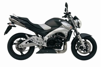 Silencieux double MIVV X-Cone inox Suzuki GSR600